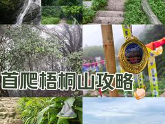 -梧桐山风景名胜区