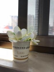 -南京康美美容医院·旗舰店