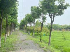 -嘉北郊野公园