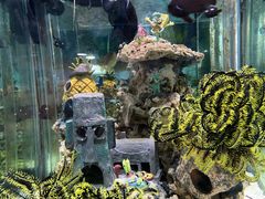 -太平洋海底世界