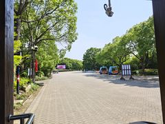 -上海海湾国家森林公园