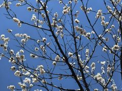 -北京西山国家森林公园