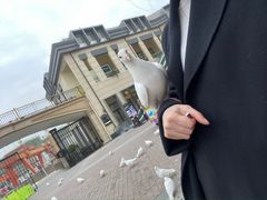 -王府井奥莱临潼小镇(临潼店)