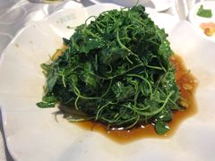 -阿英煲(凉城路店)