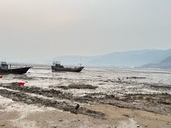 -北岐滩涂