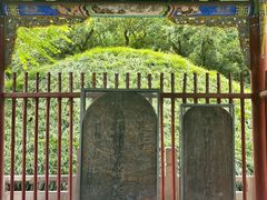 -武侯墓风景区