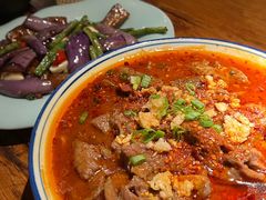 -Mountain House Flushing 川山甲