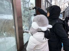 -横道河子东北虎林园