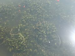 -前关湿地公园