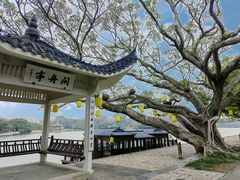 -江心屿景区