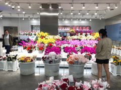 -盒马X会员店(王府井奥莱UP TOWN店)
