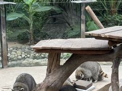 -呀路古热带植物园