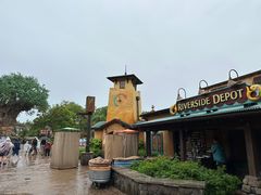 -奥兰多迪士尼动物王国乐园