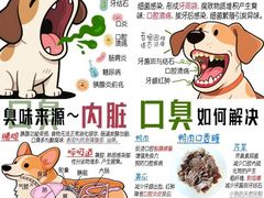 -守诺宠物医院·眼科· 神经外科·爬宠专科(虹口店)