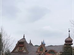 -Tangled Tree Tavern 老藤树食栈