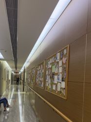 -上海首尔丽格医疗美容医院