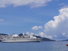 -新码头街九龙城渡轮码头(轮渡站)