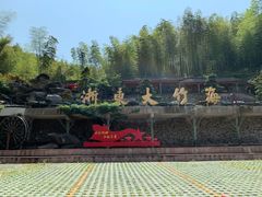 -宁波浙东大竹海景区