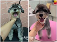 -FAELING PETS美天灵宠物(合生汇店)
