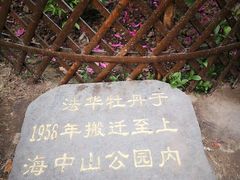 -中山公园