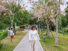 -四海公园(南山区)