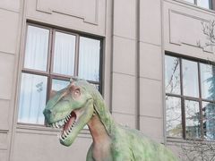 -国家自然博物馆