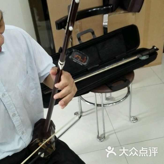 陆林生二胡专卖店