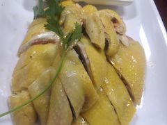 正宗白切鸡-巫记鸡饭店