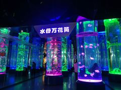 -海合安成都极地海洋公园