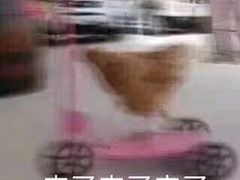 -鹿野茶事(开元盛世店)