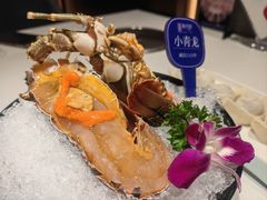 -海月轩海鲜豆捞(紫金塔店)