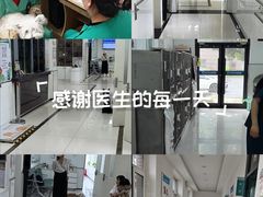 -派美特宠物医院·核磁CT·骨科肿瘤·疑难转诊(沈农禾丰店)