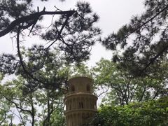 -公主楼