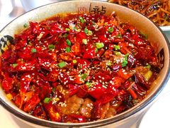 -峨嵋酒家 南北川菜 优选烤鸭(广渠路店)