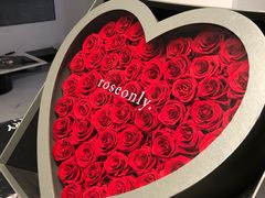 -ROSEONLY诺誓(国际广场购物中心店)