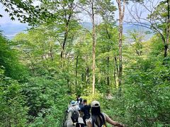 -帽儿山风景区