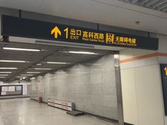 -杨高南路(地铁站)