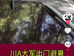 -约翰·菲茨杰拉德·肯尼迪国际机场