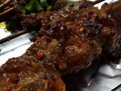 -晓靖轩烧烤(沙河风情店)