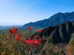 -玉渡山自然风景区