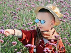 -天津东丽湖风景区