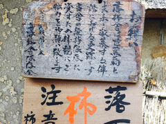 -岚山猴子公园