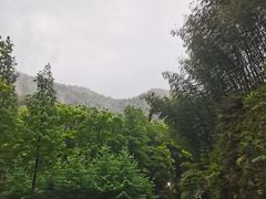 -仙霞关景区