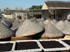 -苏州市吴中区光福窑上花果蜜饯厂