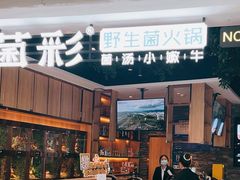 -菌彩云南野生菌火锅(万达广场店)
