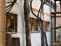-斯多格书乡(北京大学畅春园店)