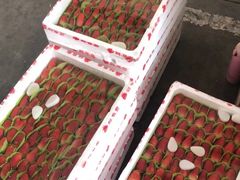 -东方鼎信农副产品交易中心