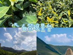 -阿露佳·舌尖上的安吉菜