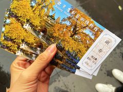 -北京石刻艺术博物馆(五塔寺)