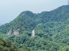 -南山植物园